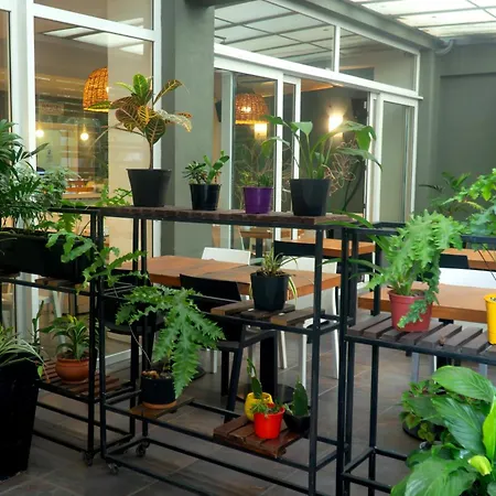 Circus Hostel-2